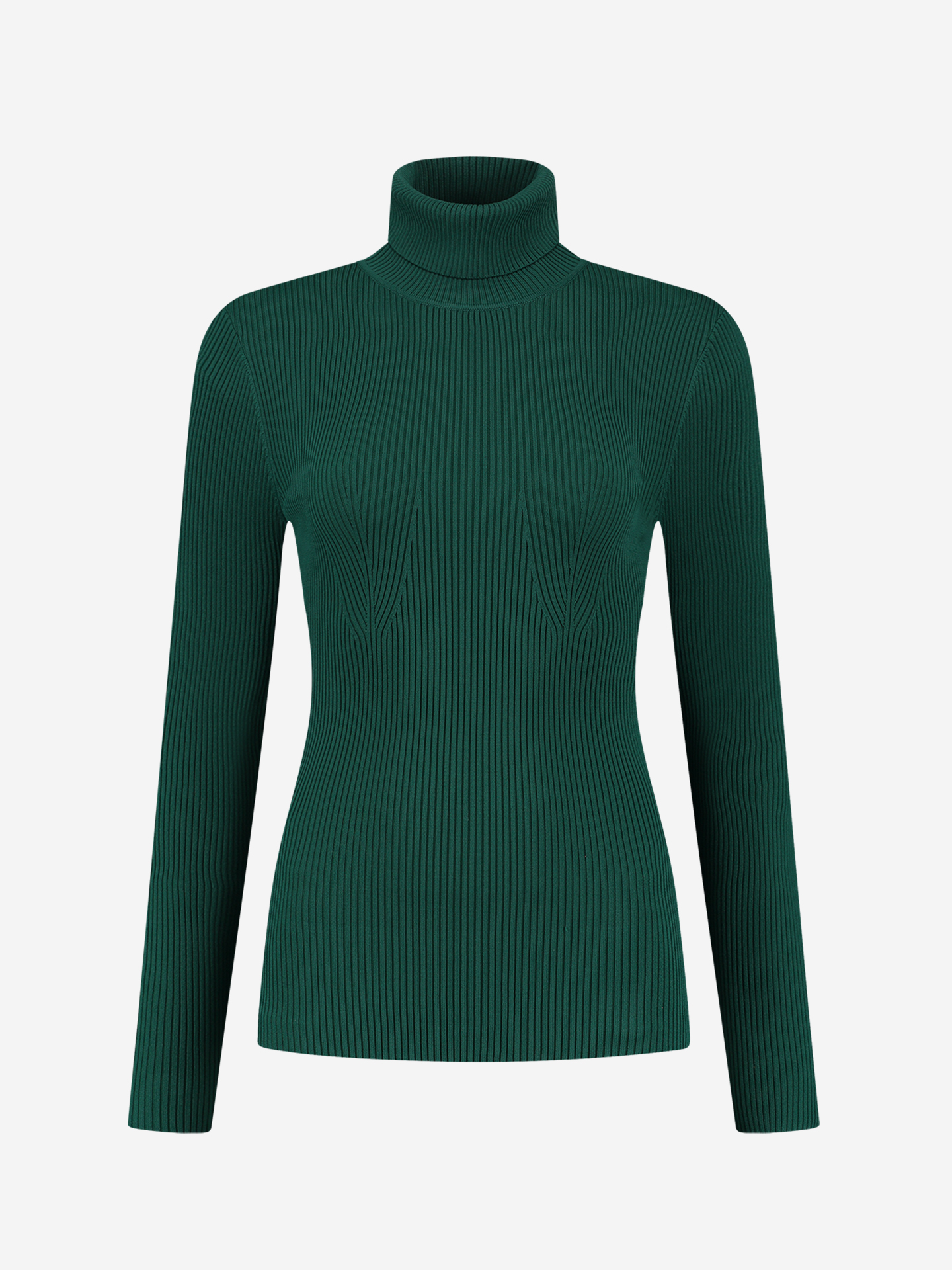 Basic fitted turtleneck top with long sleeves 