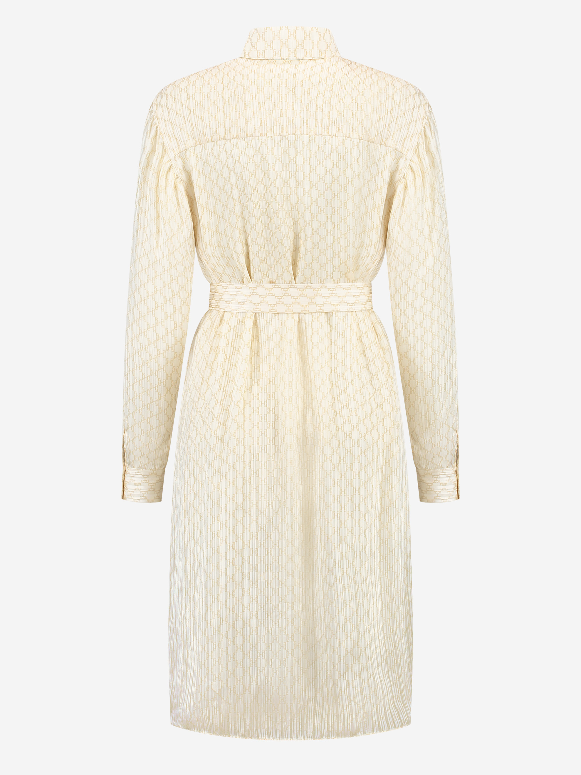 Daisy Shirt Dress
