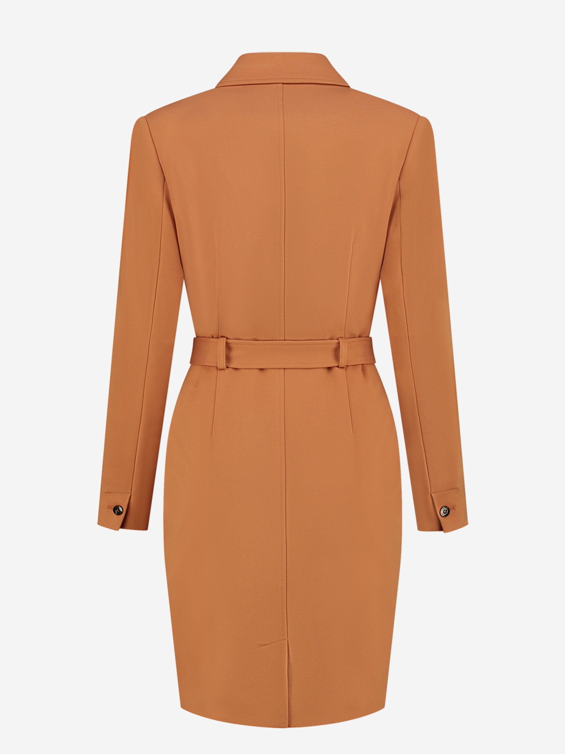 Nenzo Dress