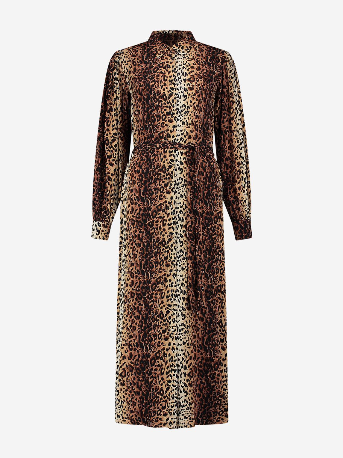 Leopard print maxi Dress with wide sleeves 