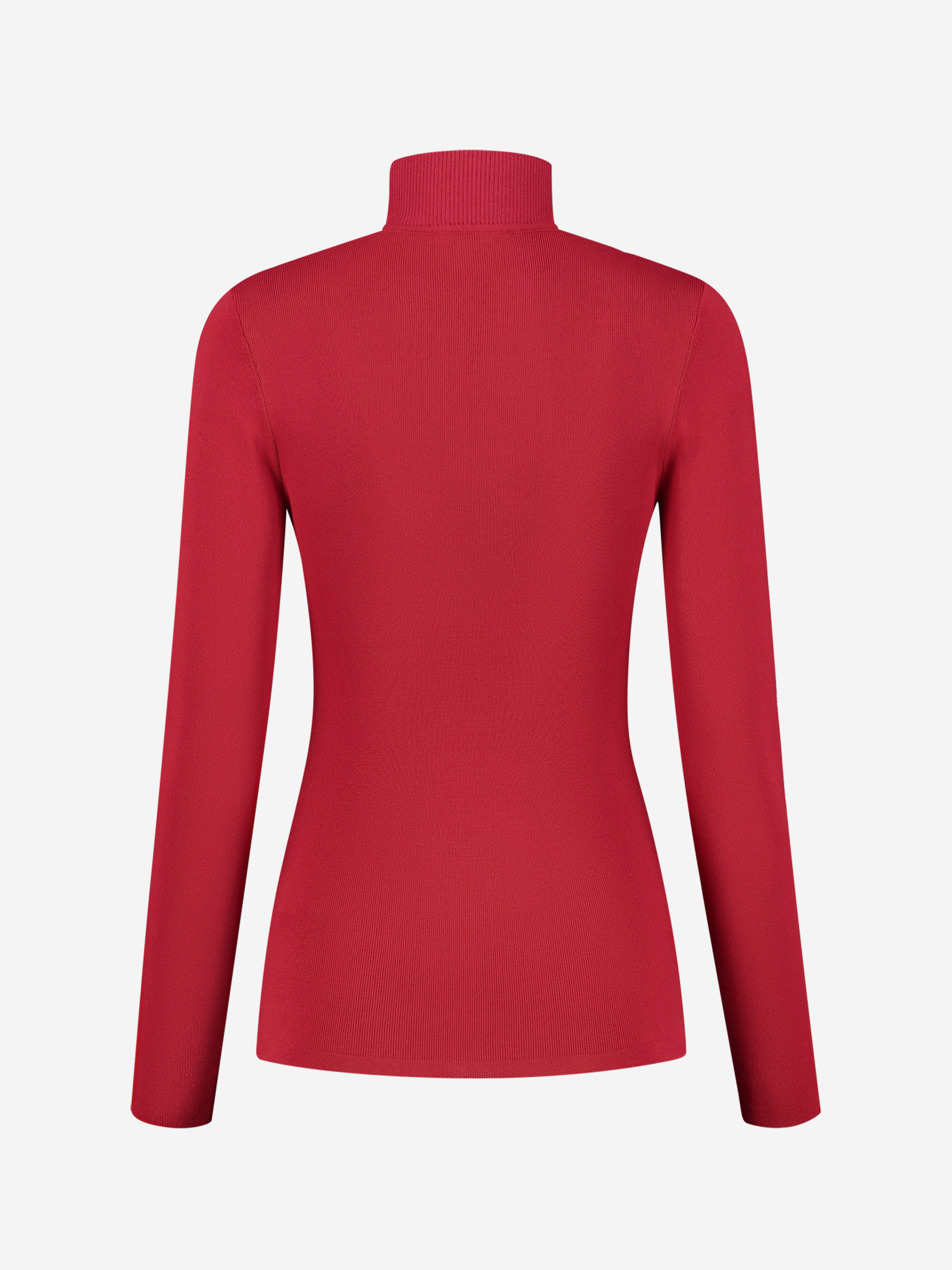 Fitted top with turtle neck 