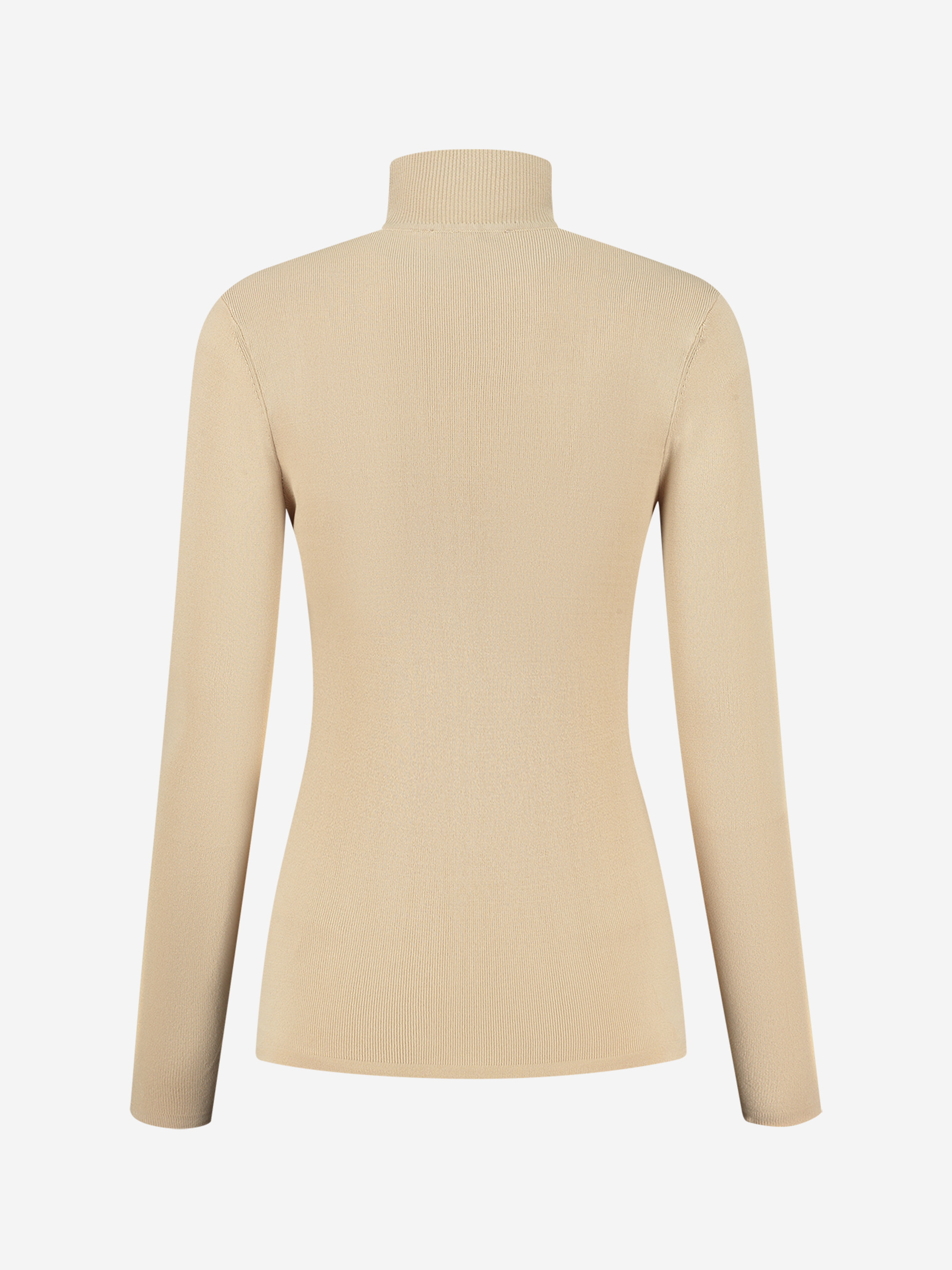 Fitted top with turtle neck 