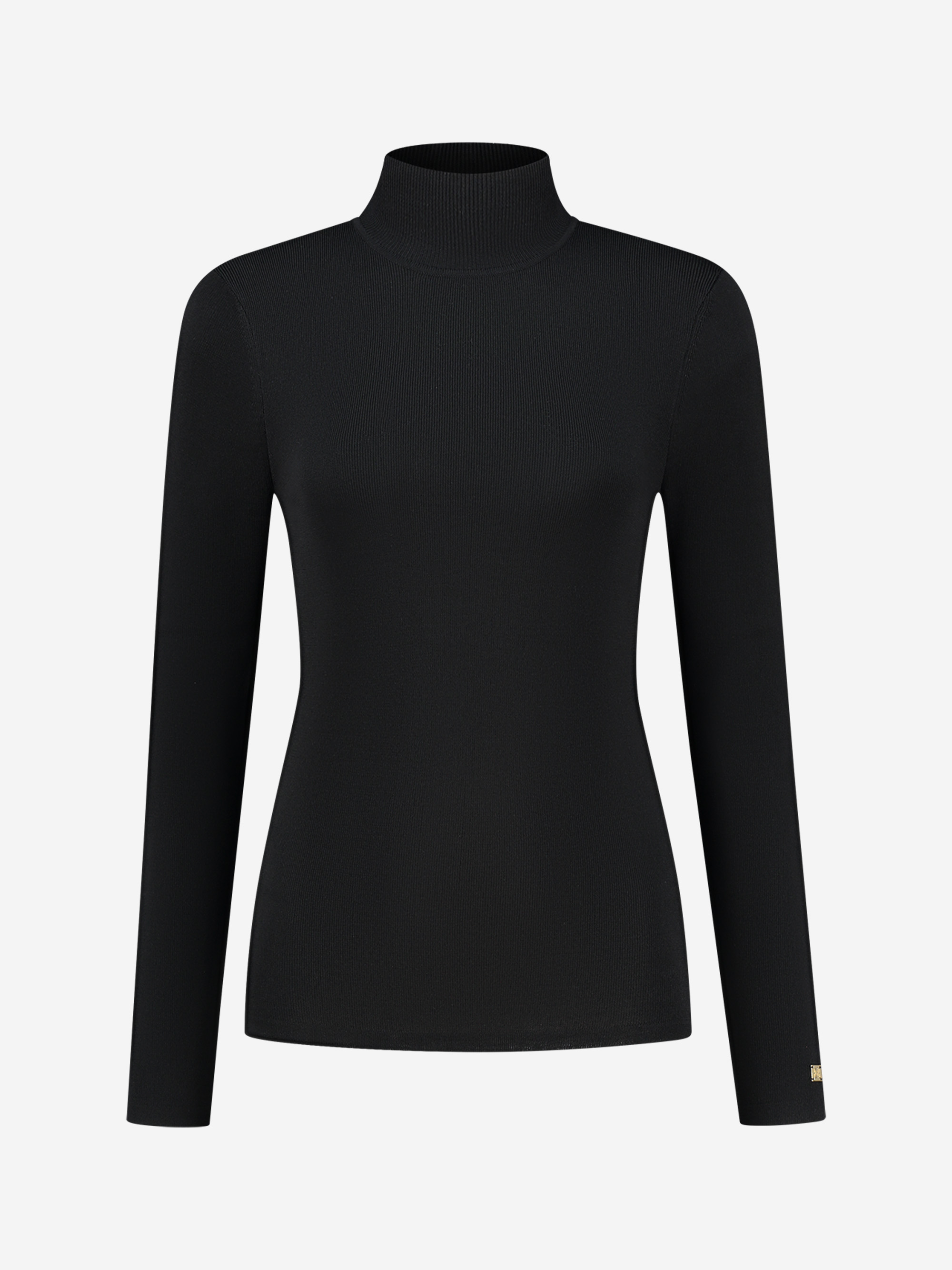 Fitted top with turtle neck 