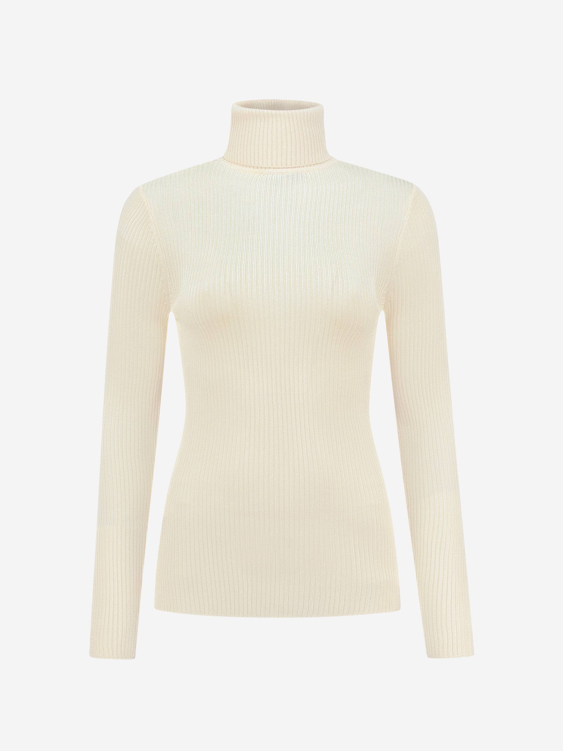 Basic fitted turtleneck top with long sleeves 