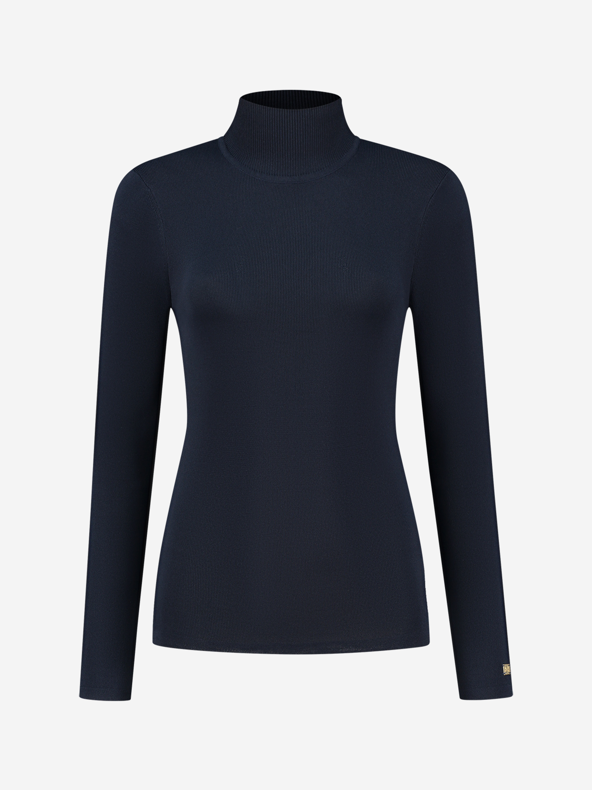 Fitted top with turtle neck 