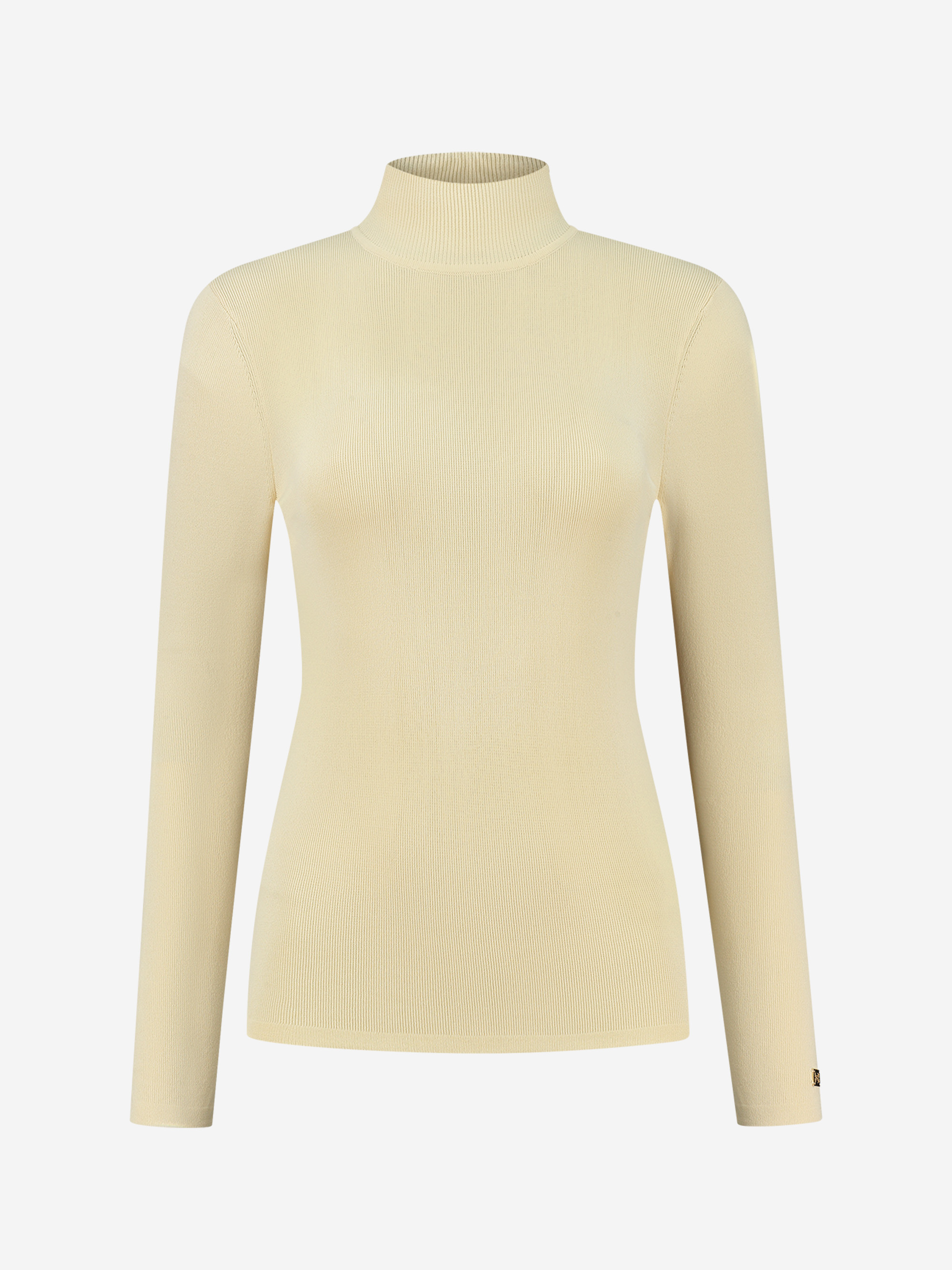 Fitted top with turtle neck 