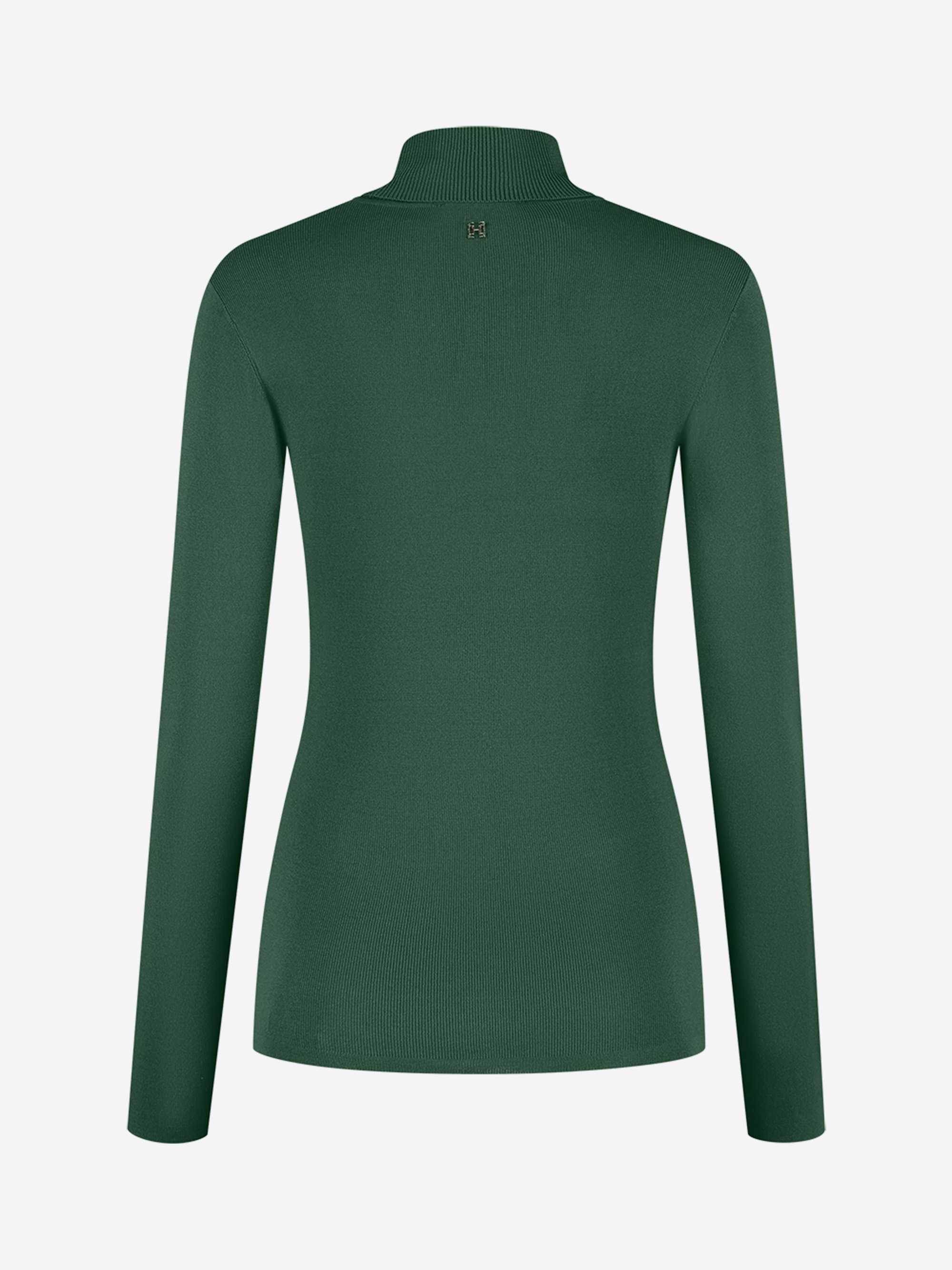 Fitted top with turtleneck