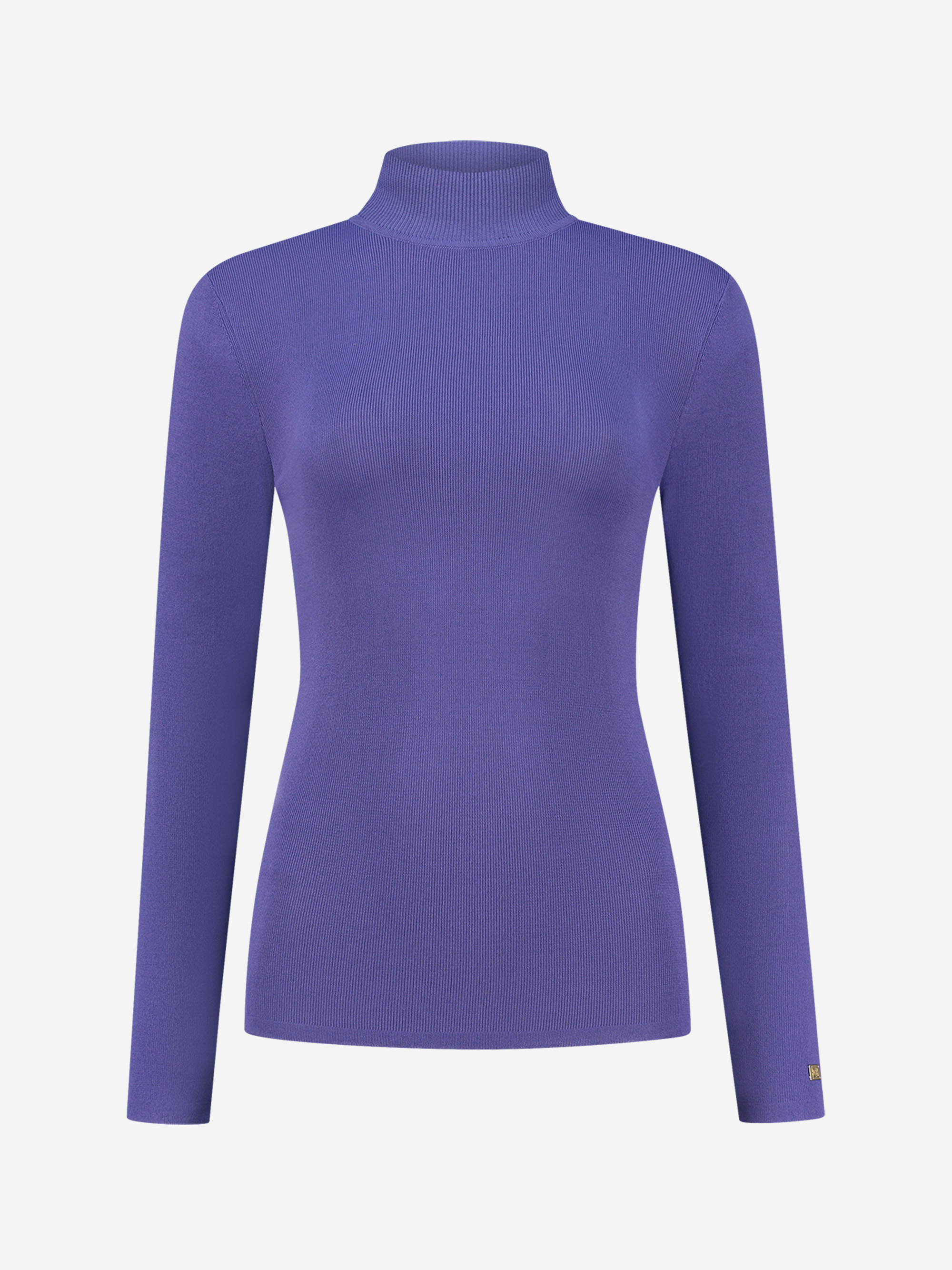 Fitted top with turtle neck 