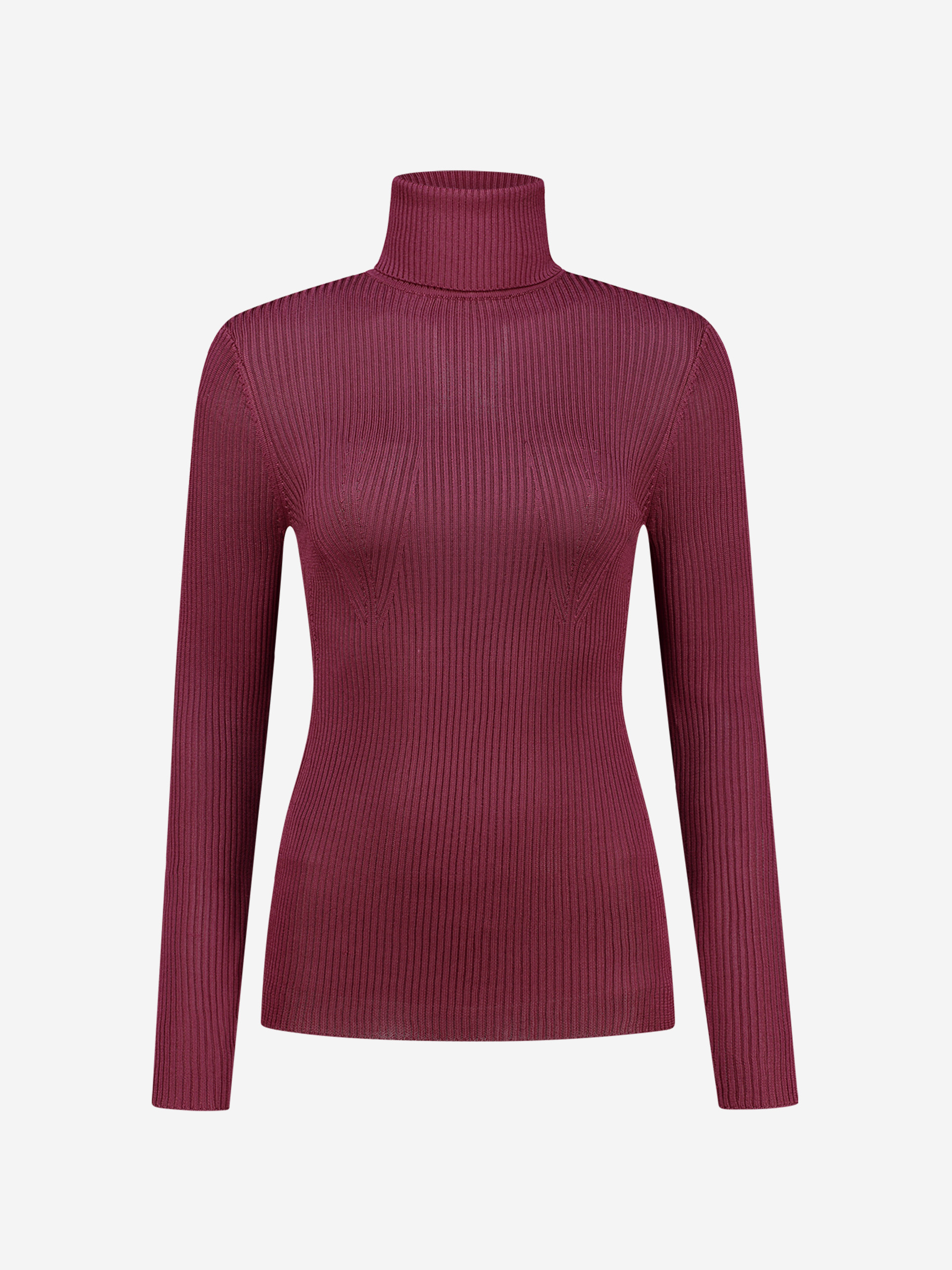 Basic fitted turtleneck top with long sleeves 