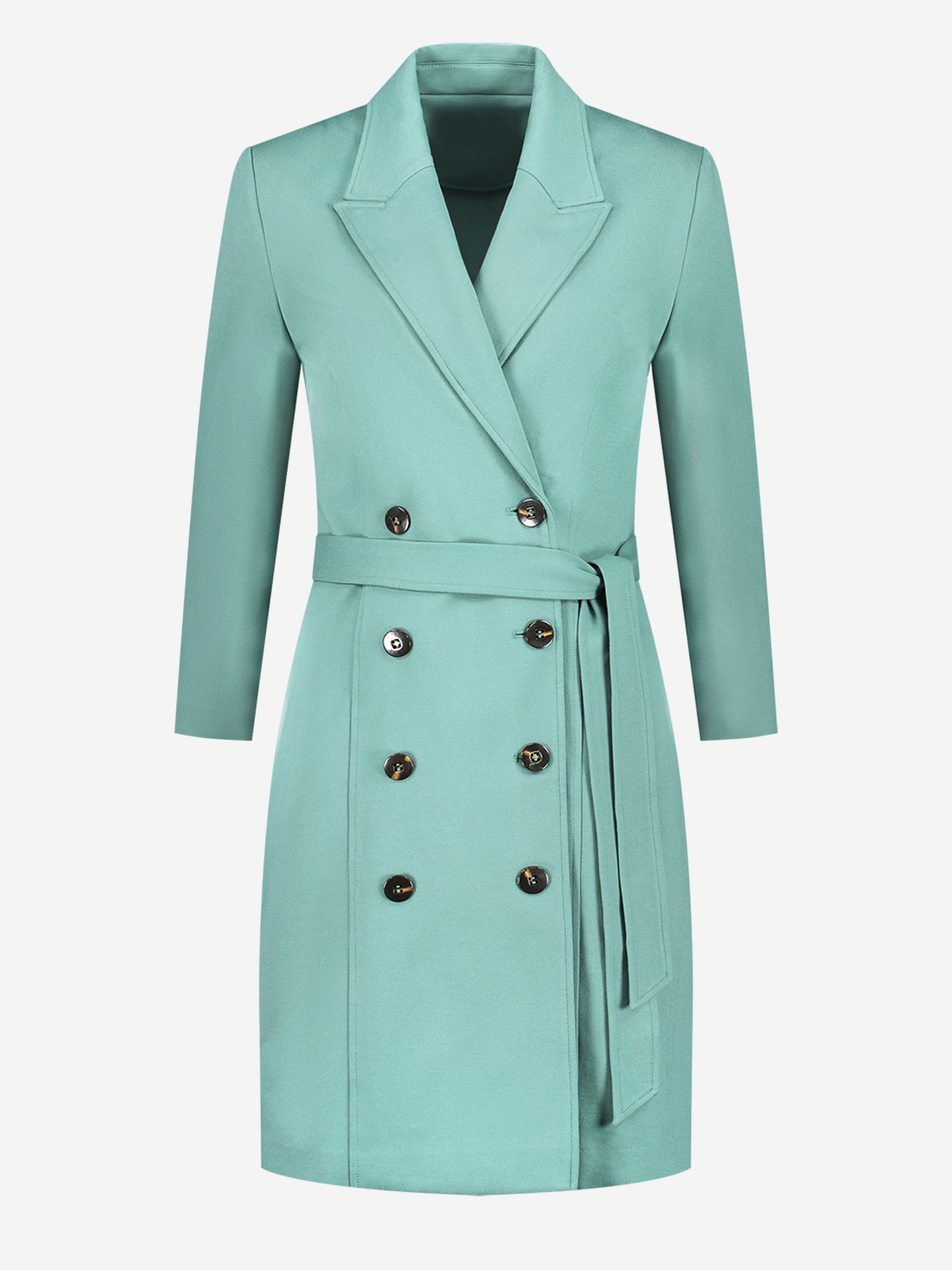 Nato Blazer Dress