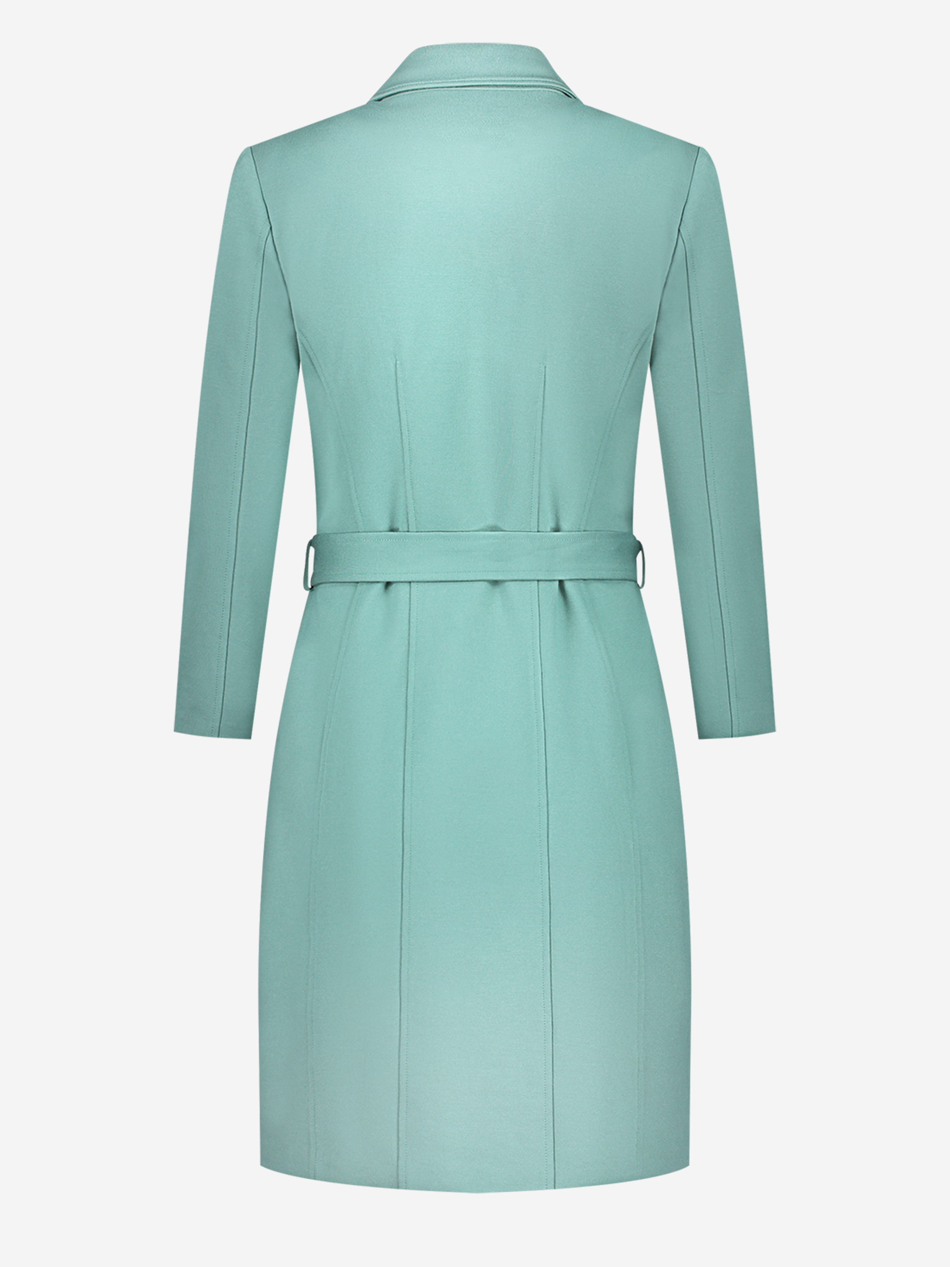 Nato Blazer Dress