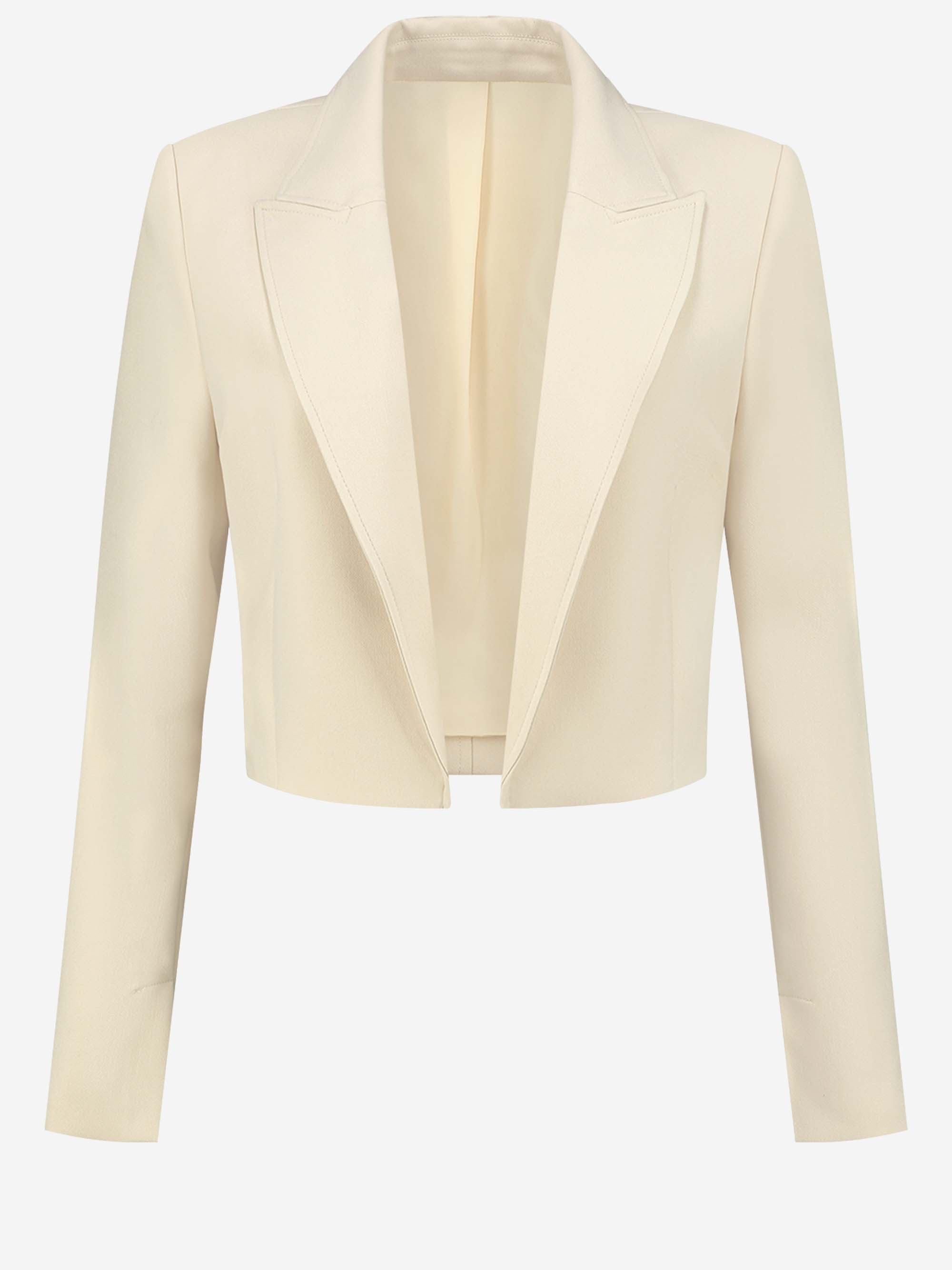 Neo Cropped Blazer