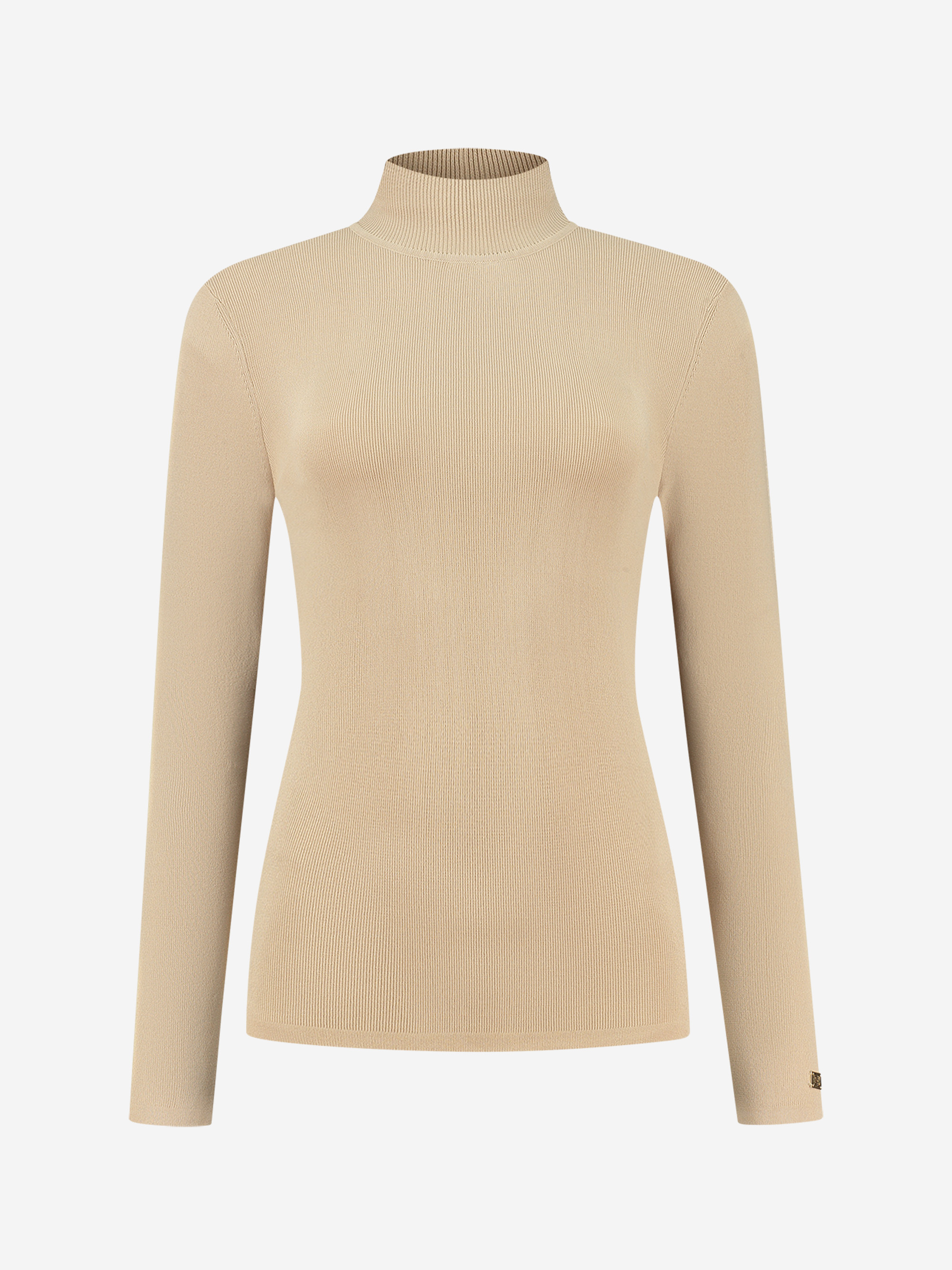 Fitted top with turtle neck 