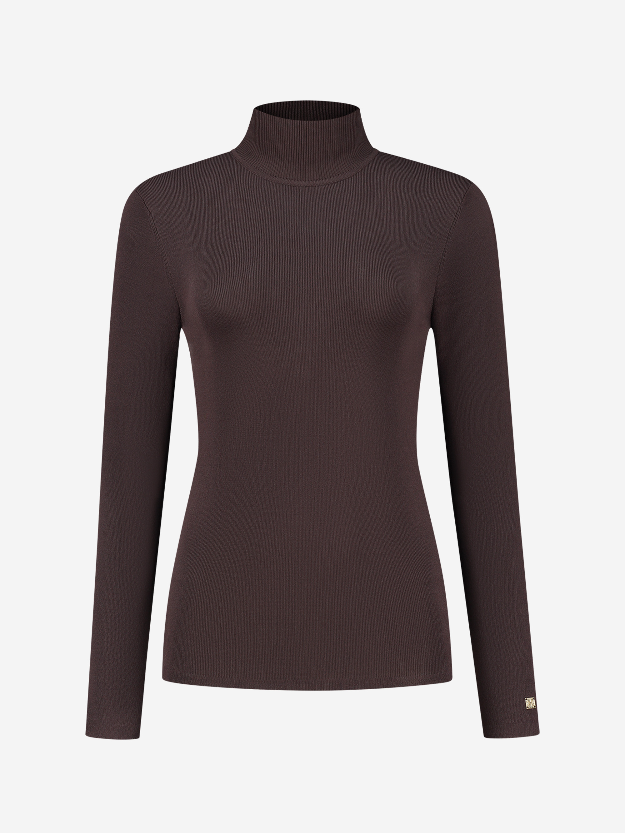 Fitted top with turtle neck 