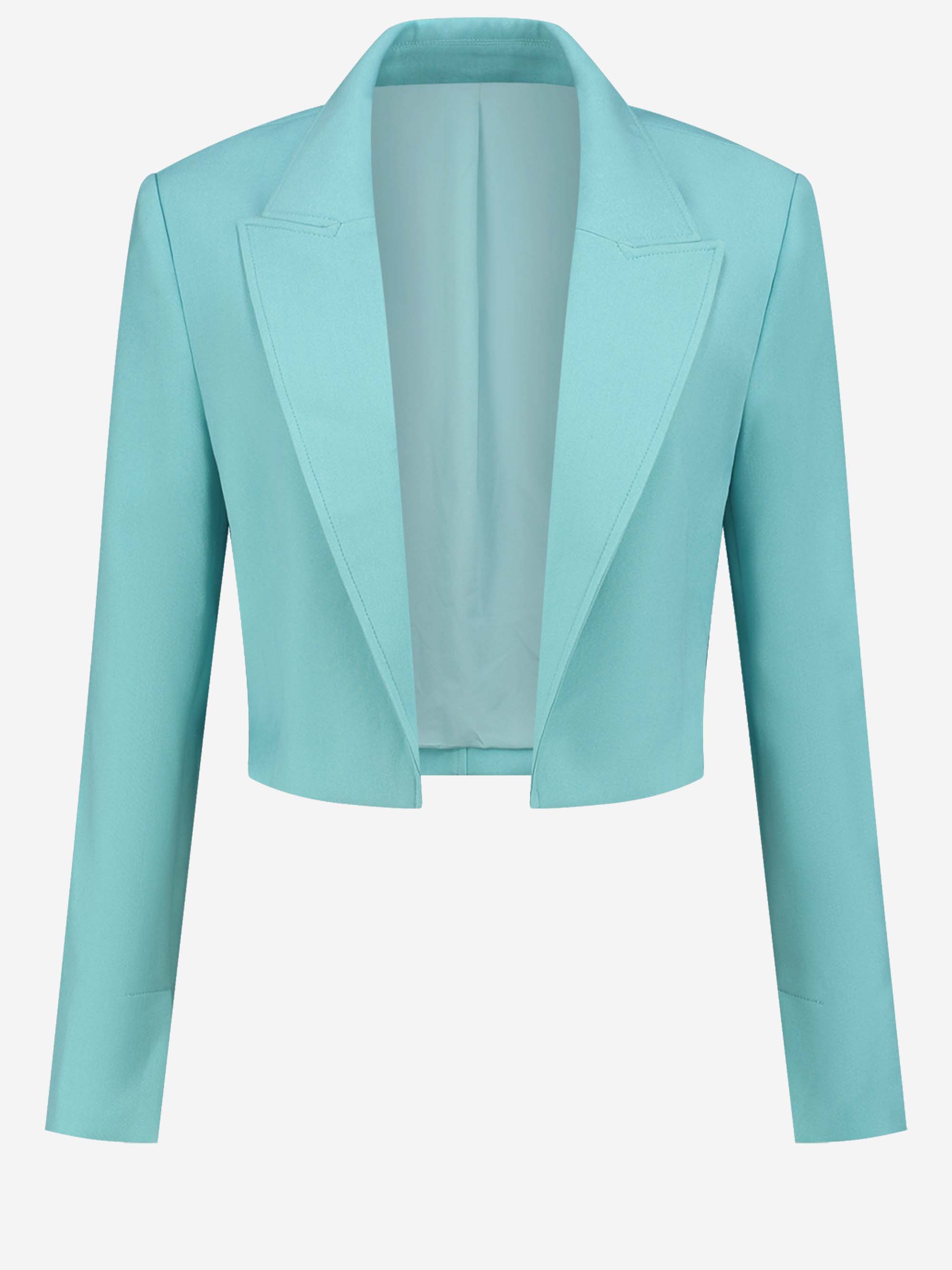 Neo Cropped Blazer