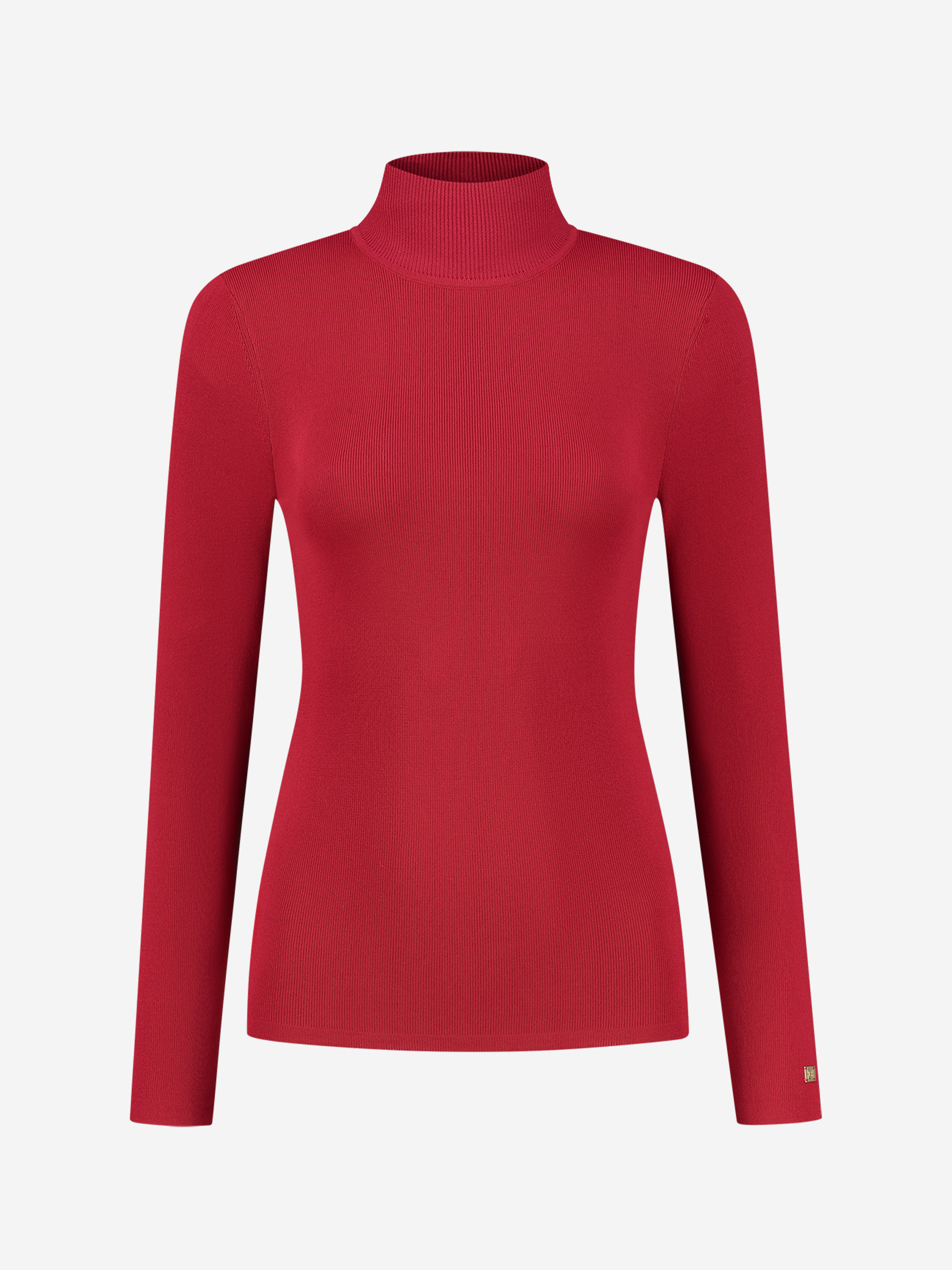 Fitted top with turtle neck 