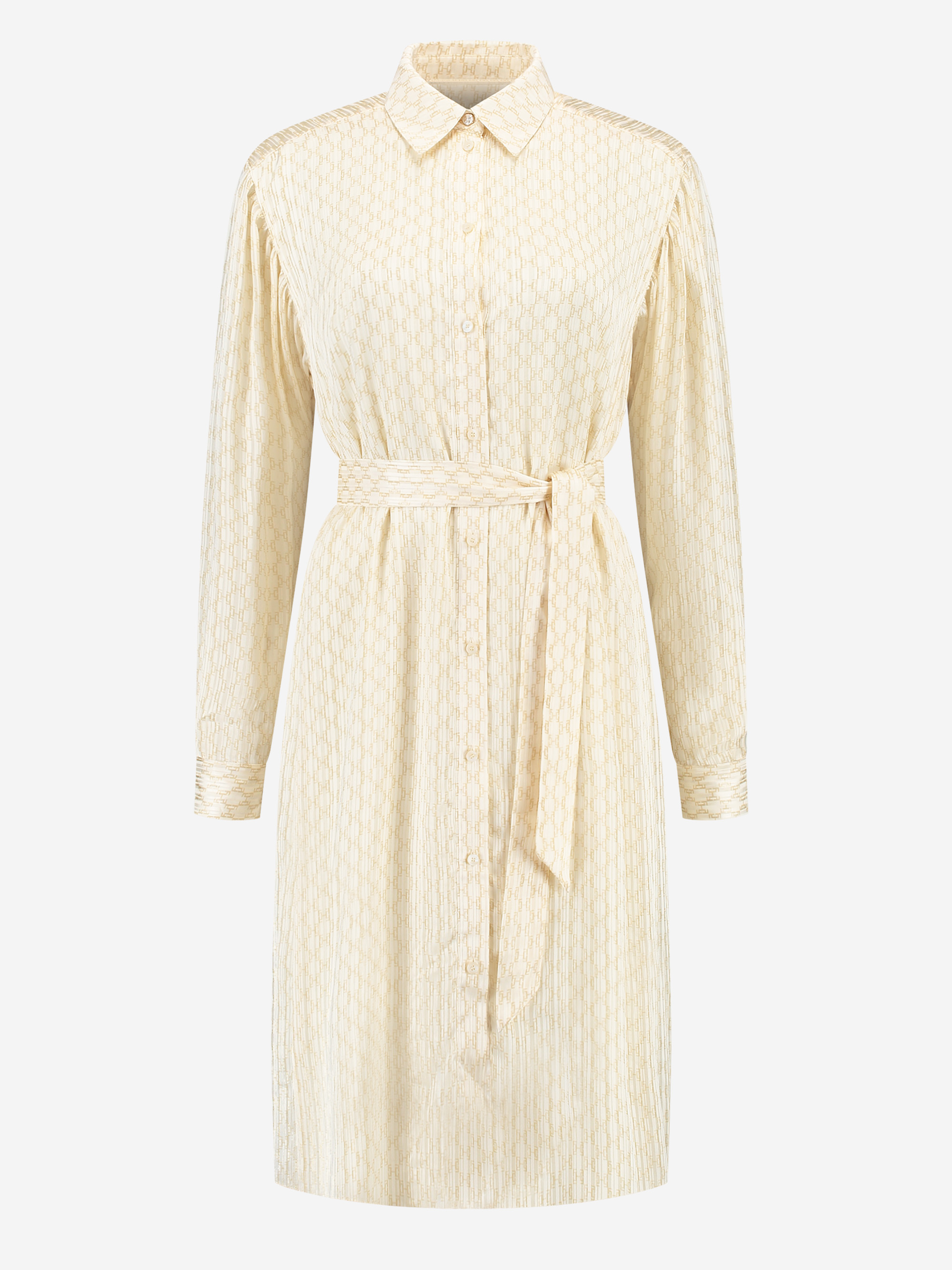 Daisy Shirt Dress