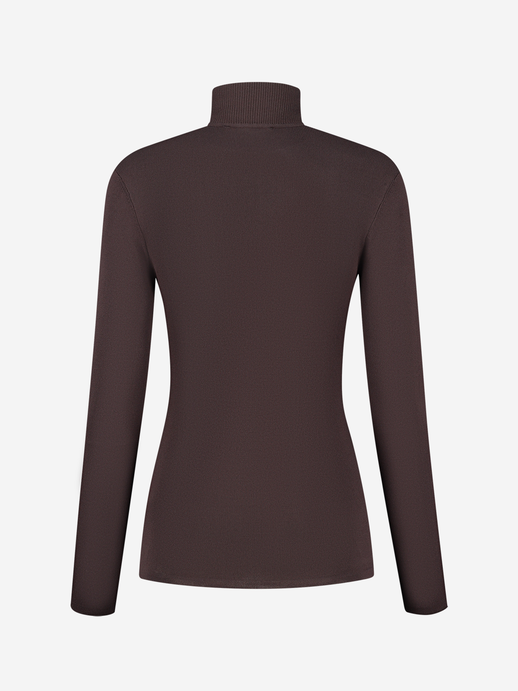 Fitted top with turtle neck 